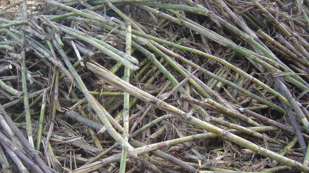 Les États-Unis et le Mexique proches d’un accord sur le sucre