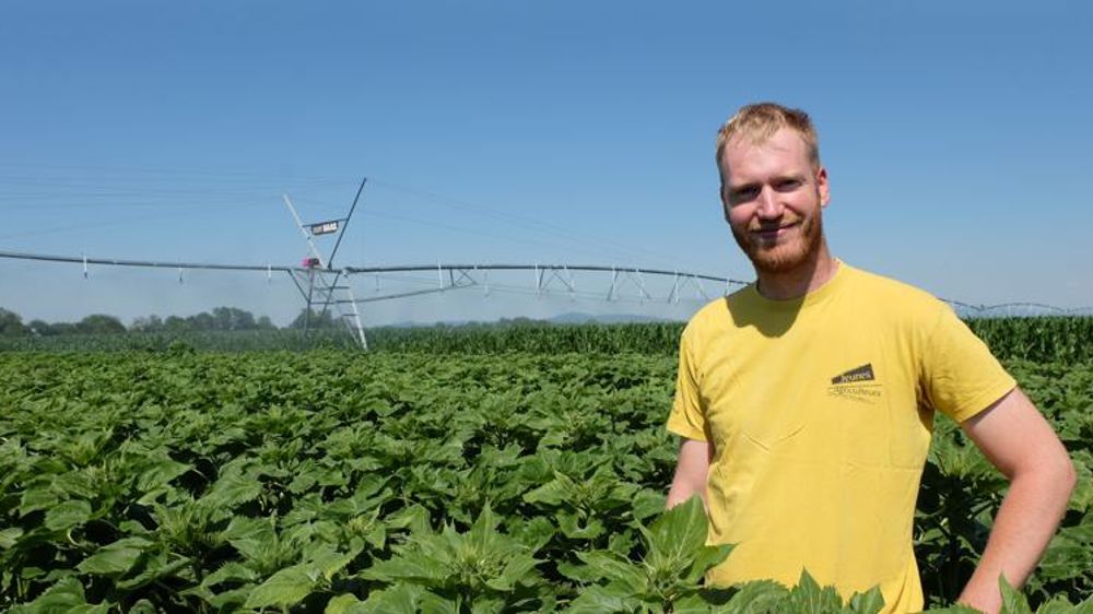 « Le maïs est le pilier de mon exploitation »