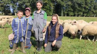 Un système mixte ovins et bovins en races du pays Un système mixte ovins et bovins en races du pays