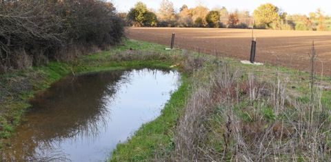 Soucieuse de l’environnement, la ferme des Blottières a développé, avec l’appui du réseau Arbre 49, deux mares de 70 à 100 m² en mars 2021. © Anne Mabire