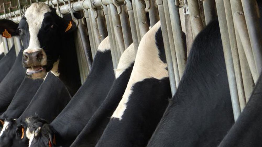 Le marché s’éclaircit