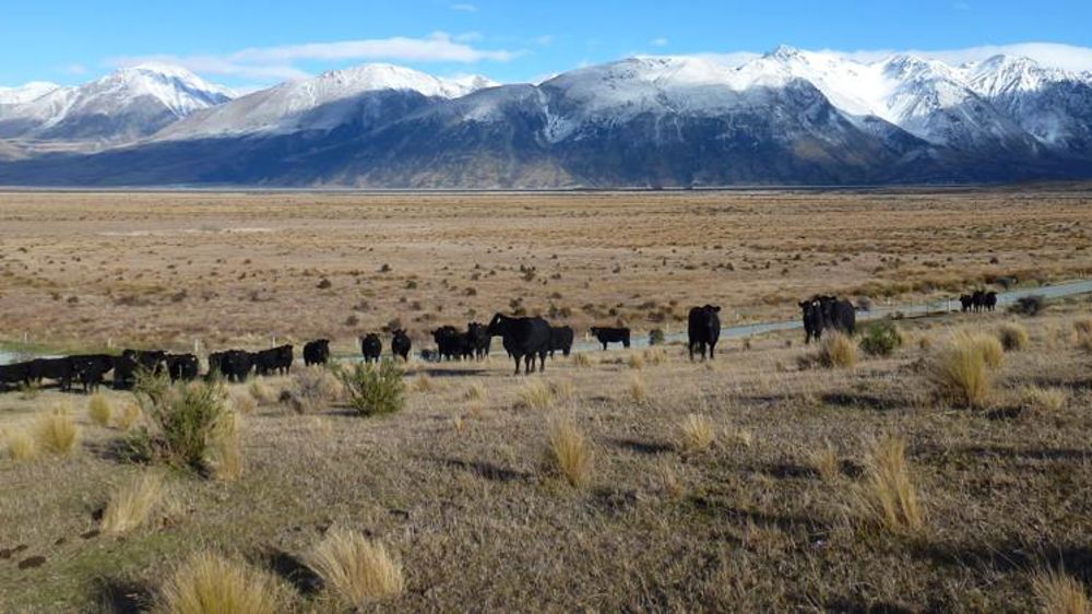 Incertitudes sur l’offre mondiale