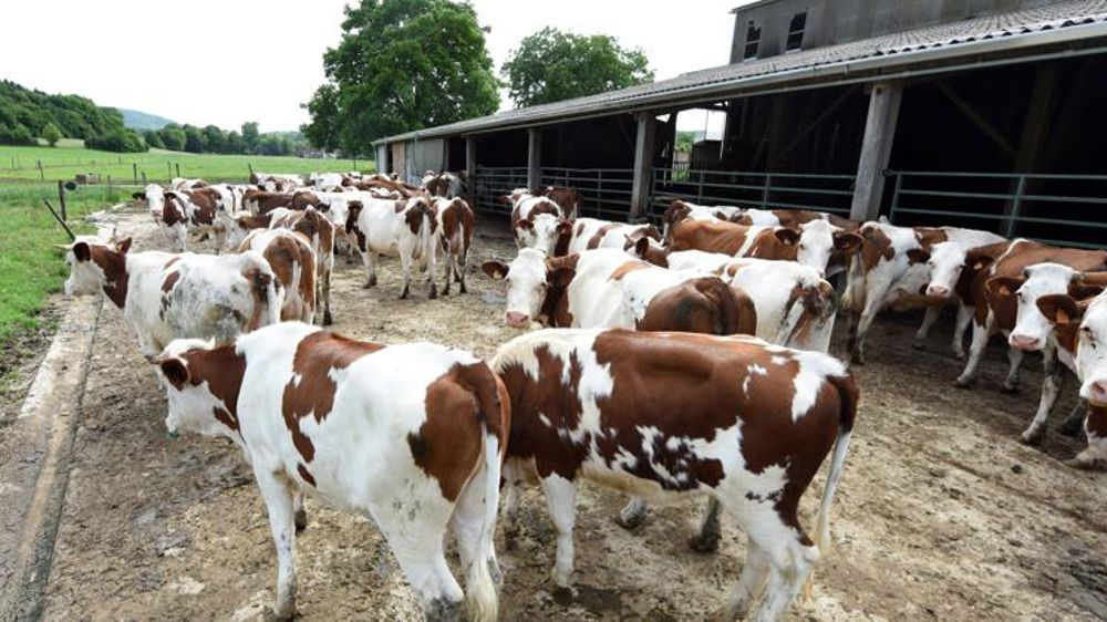 Le Sénat dénonce l’État « passager clandestin de la bio »