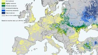 Les cultures d’hiver manquent encore d’endurcissement Les cultures d’hiver manquent encore d’endurcissement