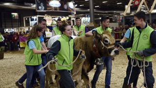 Une édition bousculée par la crise du coronavirus Une édition bousculée par la crise du coronavirus