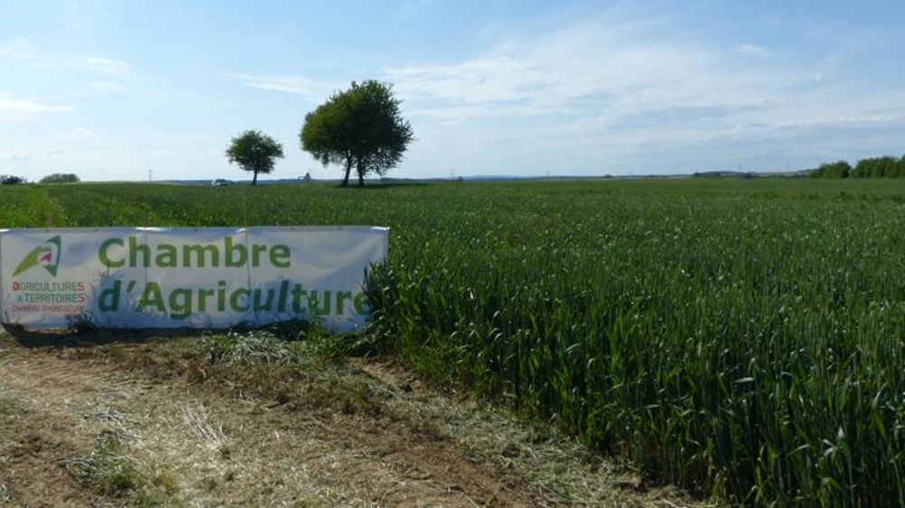 Le gouvernement prend les devants pour modifier le réseau