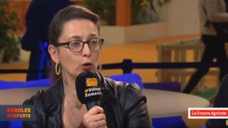 Le glyphosate « fait peur car il est un symbole » Le glyphosate « fait peur car il est un symbole »