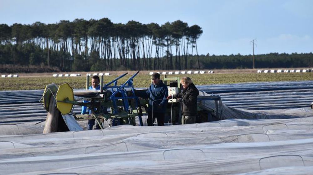 Le confinement prive les agriculteurs de main-d’œuvre