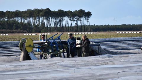 Le confinement prive les agriculteurs de main-d’œuvre Le confinement prive les agriculteurs de main-d’œuvre