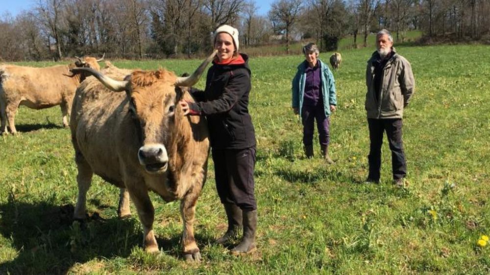 « J’ai failli abandonner tous mes abattages »
