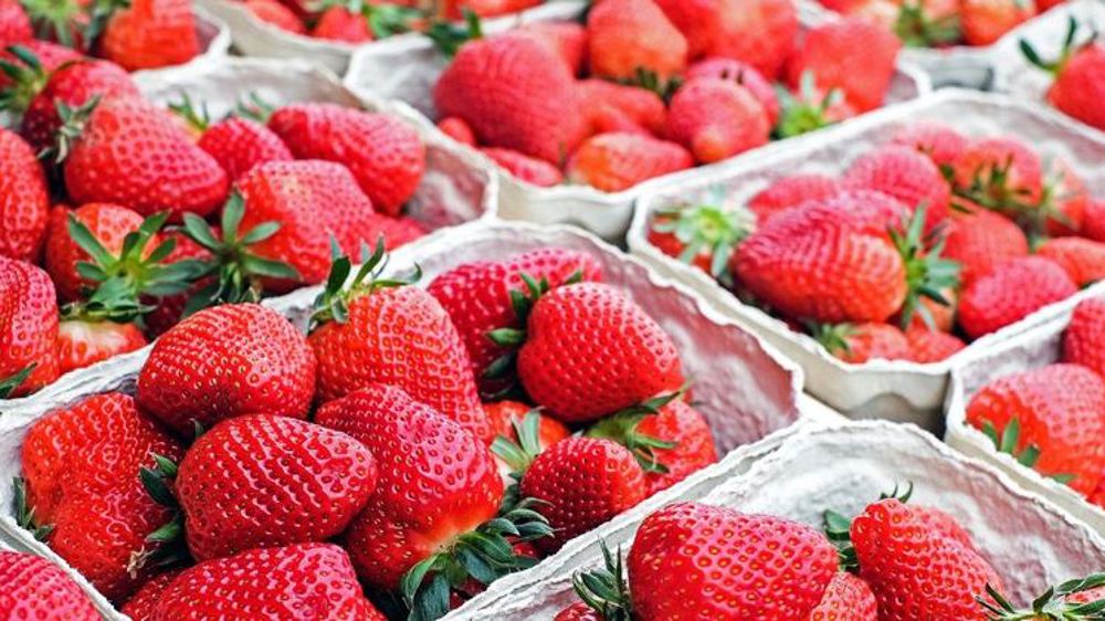 Quand un distributeur fait appel aux agriculteurs