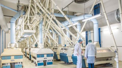 Un taux d’absentéisme moyen de 20 % Un taux d’absentéisme moyen de 20 %