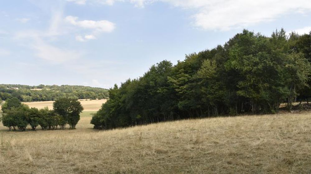 La Coordination rurale demande des mesures fortes