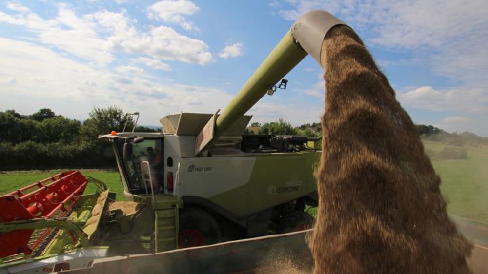 Des rendements « inhabituellement bas » pour les cultures d’hiver