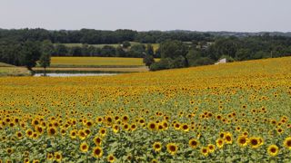 Le parti écologiste allemand soutient les biotechnologies Le parti écologiste allemand soutient les biotechnologies