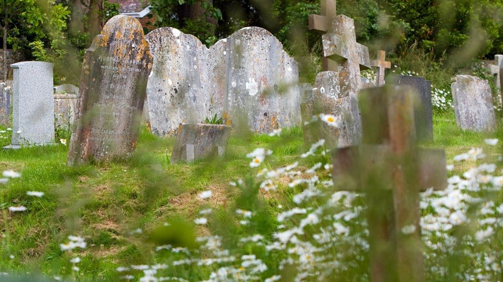 Vers le « zéro phyto » dans tous les lieux de vie