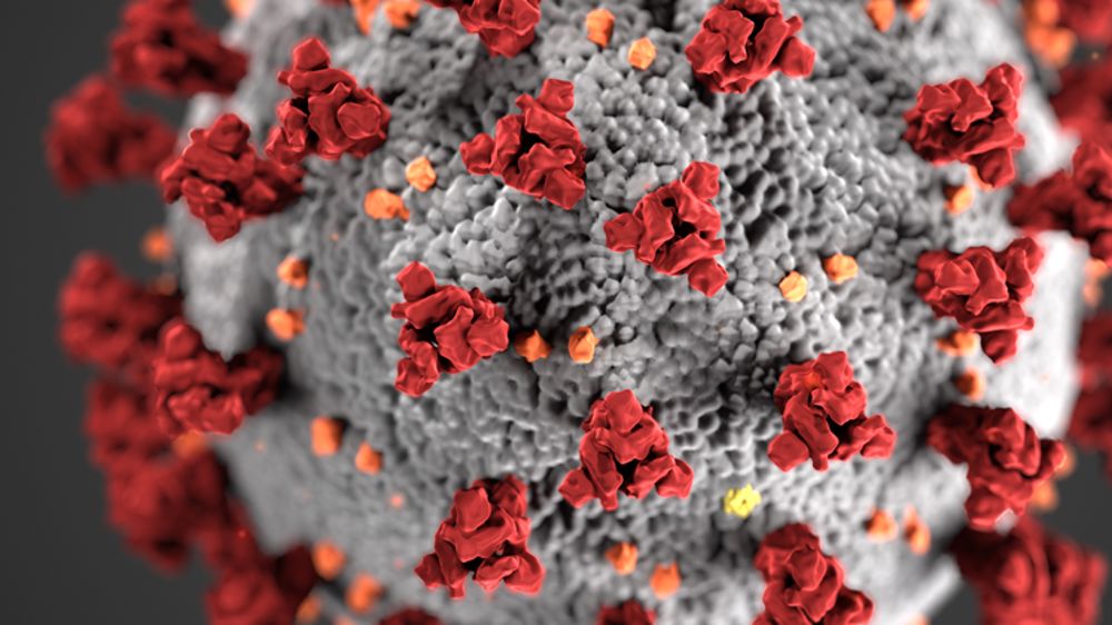 Limiter les contaminations dans les abattoirs