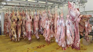 Bruxelles suspend l’aide au stockage privé des viandes rouges Bruxelles suspend l’aide au stockage privé des viandes rouges