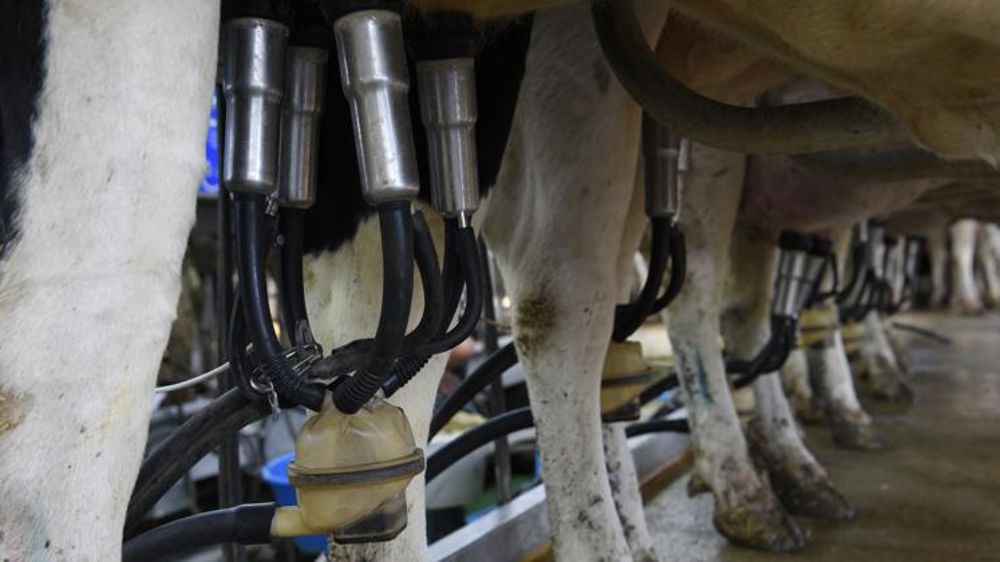 La collecte accuse une nouvelle baisse en mai