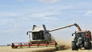 Une récolte de blé tendre sous la barre des 30 Mt Une récolte de blé tendre sous la barre des 30 Mt