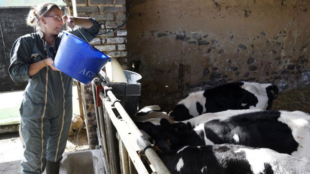 L’appel de députés de la majorité à soutenir les éleveurs