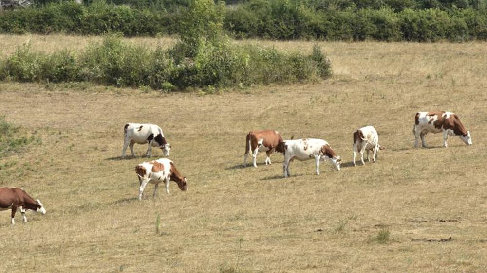 L’utilisation des jachères autorisée dans 47 départements