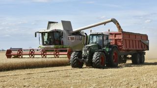 25 % de blé en moins dans les silos 25 % de blé en moins dans les silos