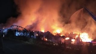 100 vaches et leurs veaux brûlés dans un violent incendie 100 vaches et leurs veaux brûlés dans un violent incendie
