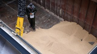 Accès de faiblesse en blé Accès de faiblesse en blé