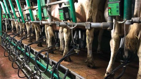 Le prix du lait poursuit sa chute Le prix du lait poursuit sa chute