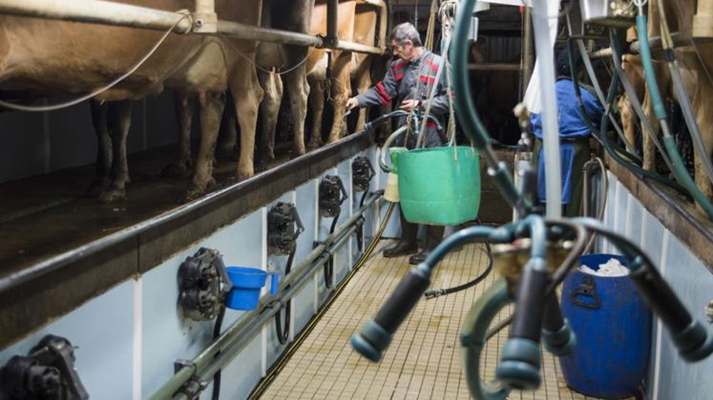 Collecte stable et prix en hausse en 2019