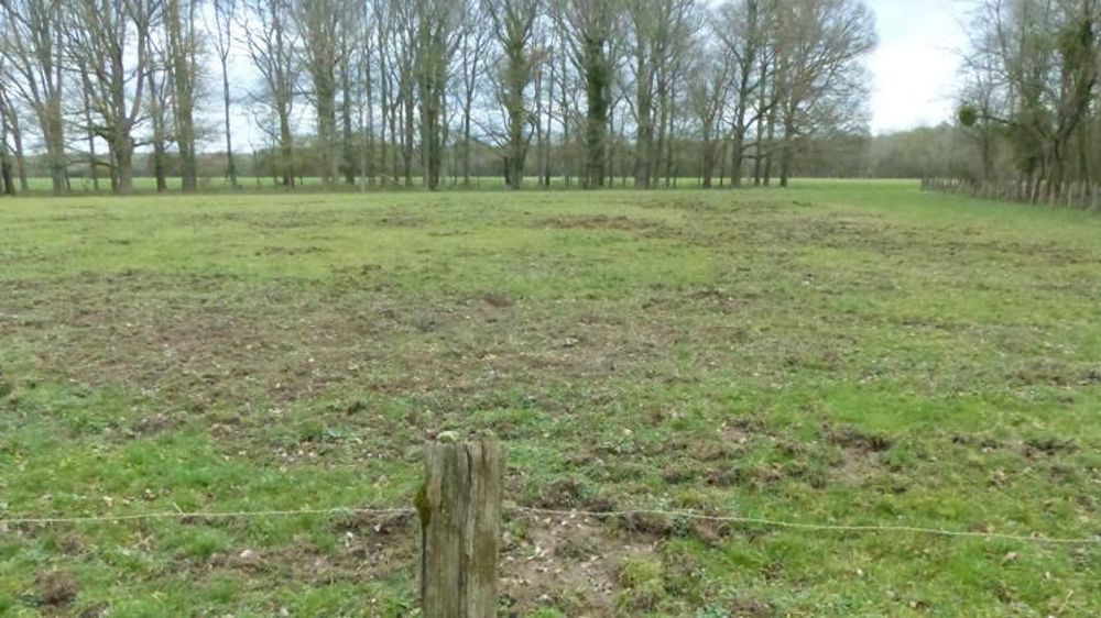 Des dérogations possibles pour détruire les nuisibles