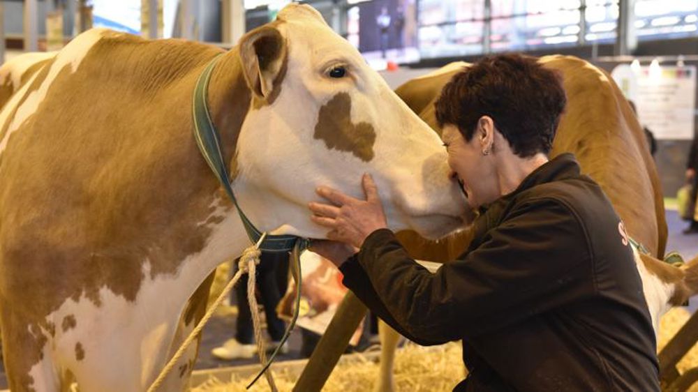 Les Français de plus en plus sensibles à la condition animale