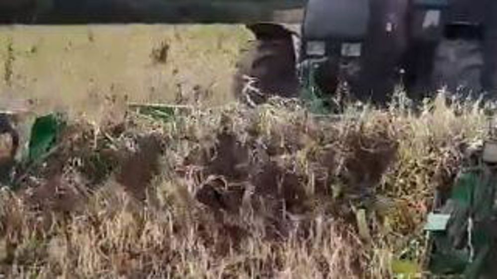 Au tour des récoltes plus confidentielles