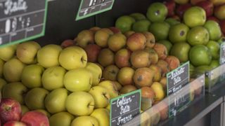 Une récolte « modeste mais très qualitative » Une récolte « modeste mais très qualitative »