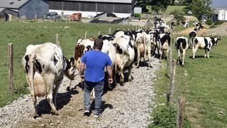 La filière laitière prépare son monde d’après La filière laitière prépare son monde d’après