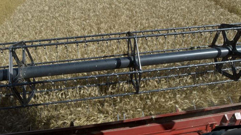 Le Copa-Cogeca s’alarme pour les céréaliers européens