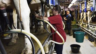 La collecte française se redresse La collecte française se redresse