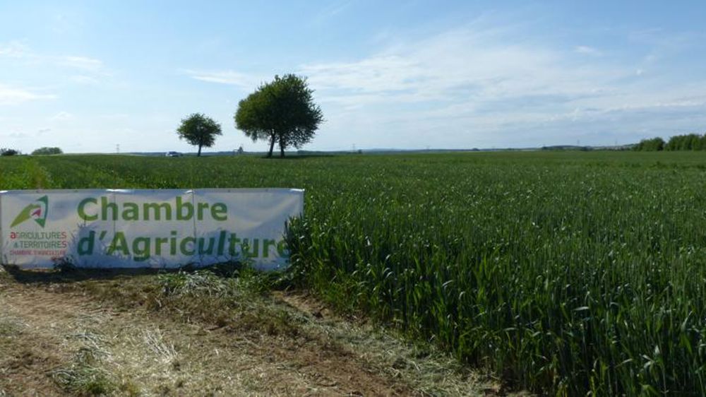 Bercy prêt à préserver le budget des chambres en 2021