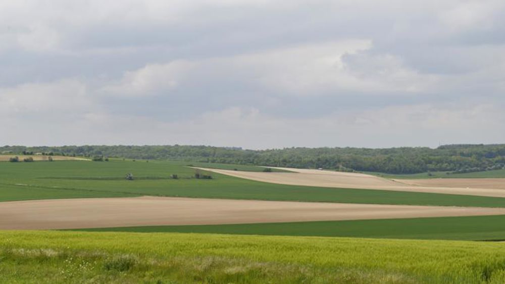 Les filières des grandes cultures demandent un plan d’urgence