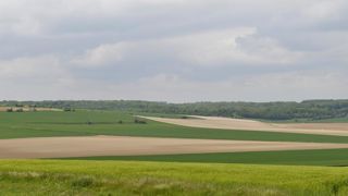 Les filières des grandes cultures demandent un plan d’urgence Les filières des grandes cultures demandent un plan d’urgence