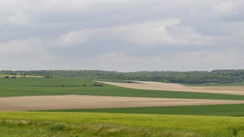 Les filières des grandes cultures demandent un plan d’urgence