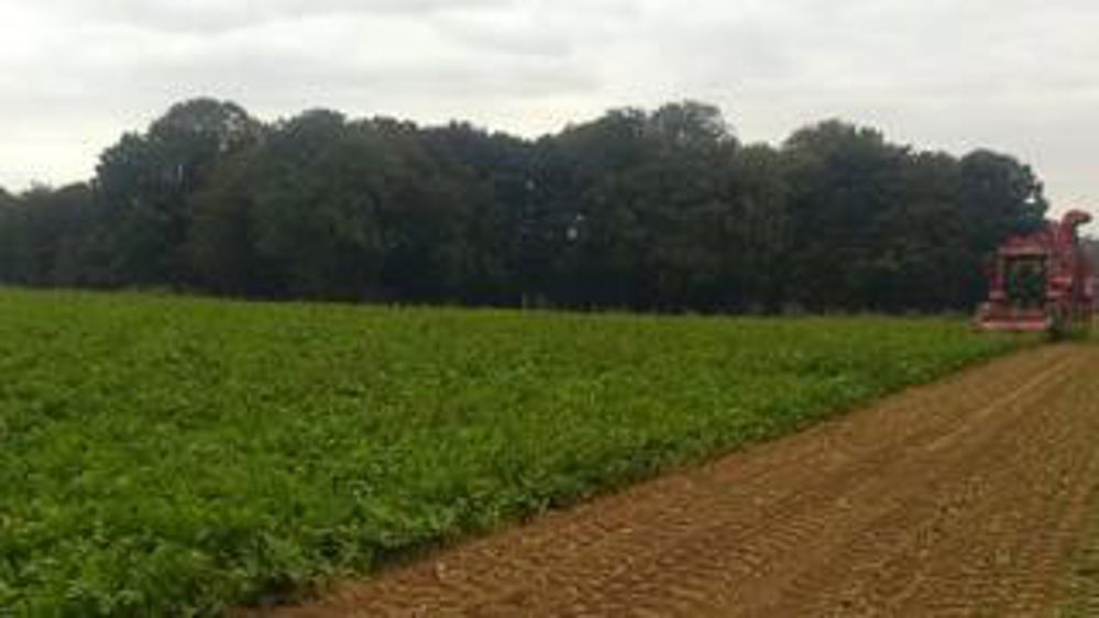 Le chassé-croisé de septembre