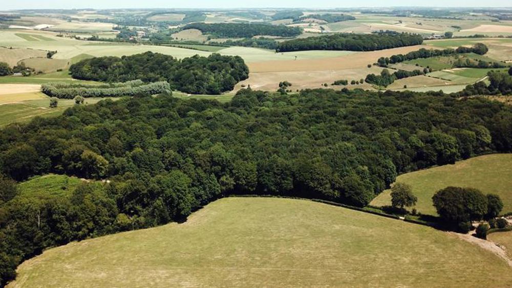 19 recommandations pour l’avenir de la forêt et de la filière du bois