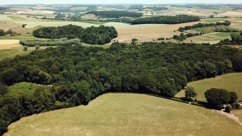 19 recommandations pour l’avenir de la forêt et de la filière du bois 19 recommandations pour l’avenir de la forêt et de la filière du bois