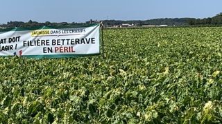 Produire des betteraves autrement Produire des betteraves autrement