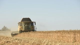 Hausse des céréales, baisse des oléagineux Hausse des céréales, baisse des oléagineux