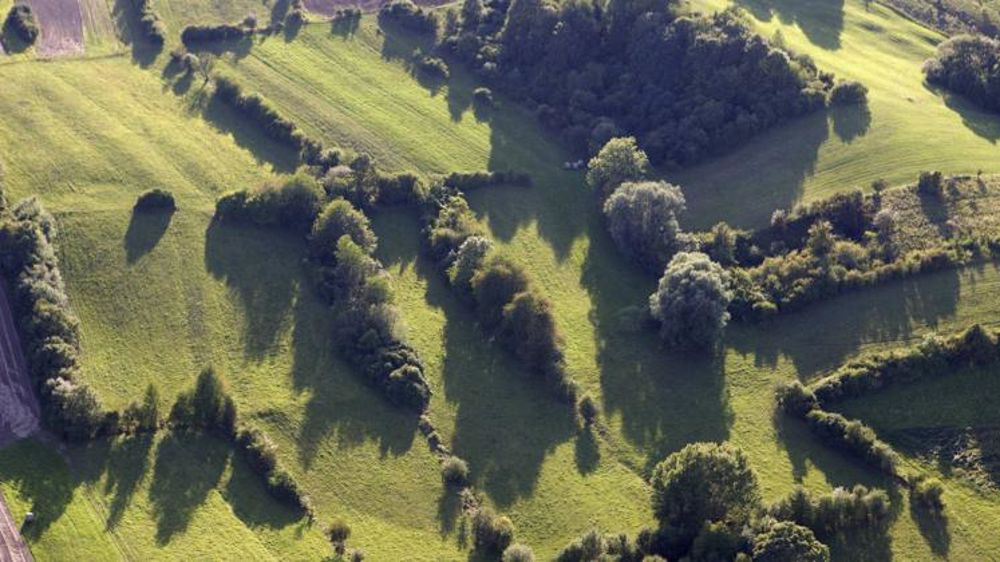 À la « Récolte » des bonnes idées