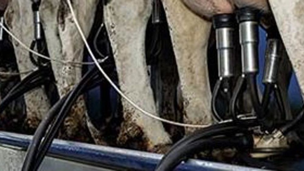 Une griffe de traite plus confortable