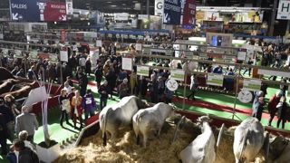 Le Salon de l’agriculture 2021 est annulé Le Salon de l’agriculture 2021 est annulé